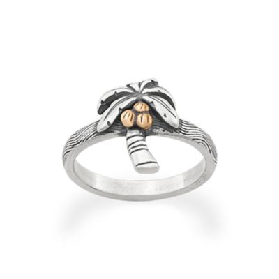 Tropical Palm Tree Ring